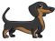 Rowan Dachshund Pups Home